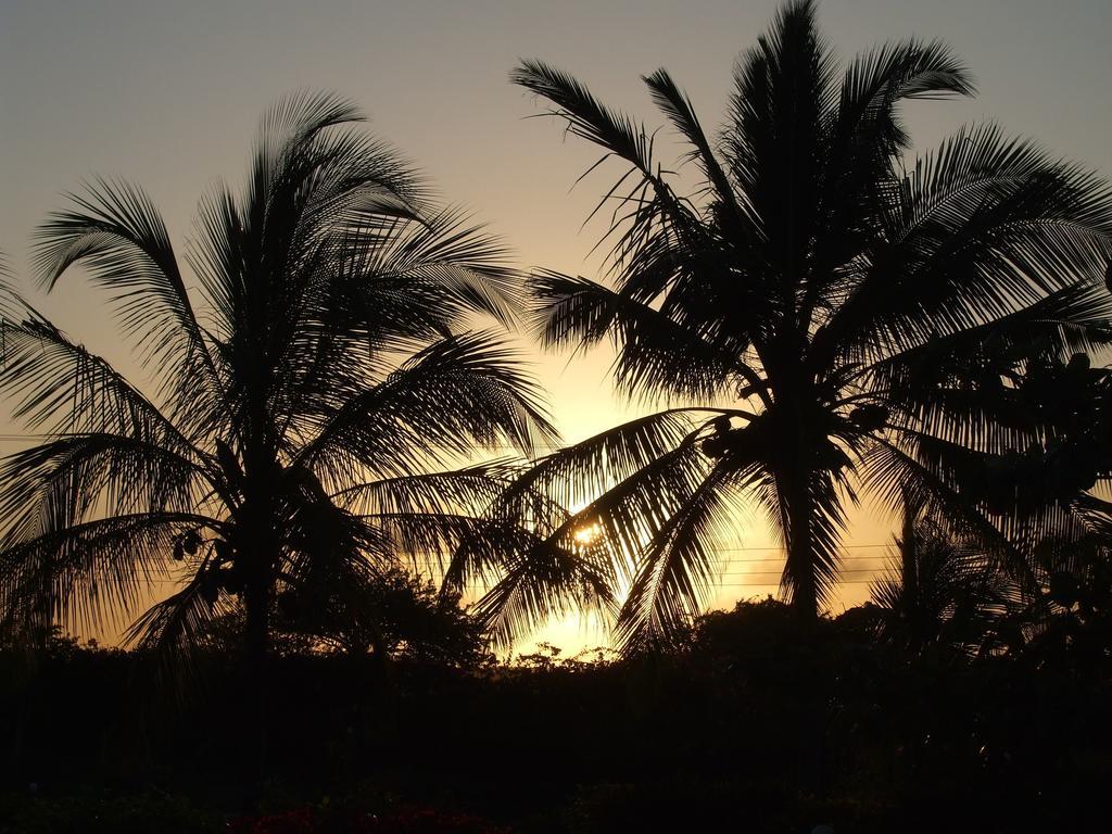 Flamingo Villas Resort Malindi Buitenkant foto